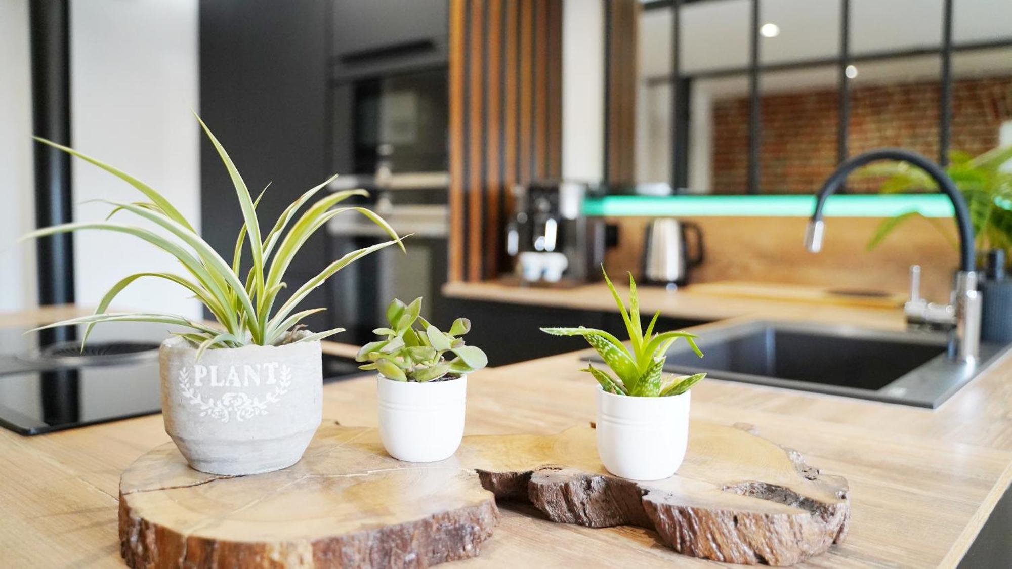 Oasis - Cine, Balneo & Confort A La Apartamento Ault