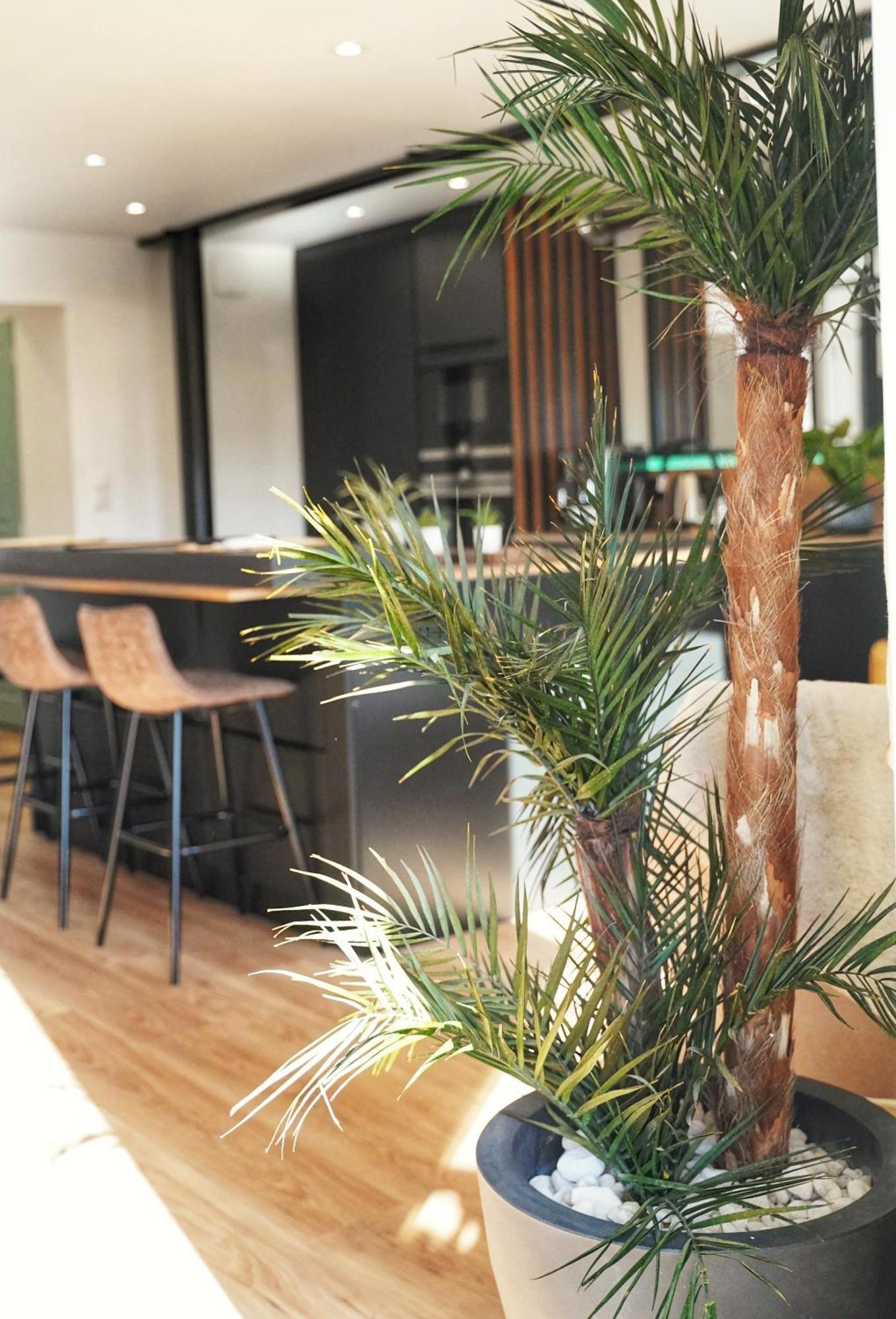 Apartment Oasis - Cine, Balneo & Confort A La *